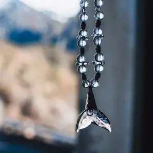Dolphin's Tail Spiritual